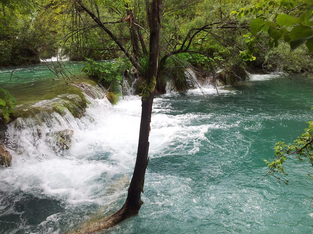Guest House Family Varda Plitvice Lakes Plitvička Jezera المظهر الخارجي الصورة
