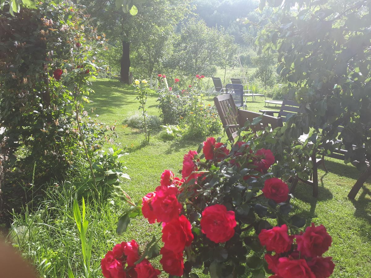 Guest House Family Varda Plitvice Lakes Plitvička Jezera المظهر الخارجي الصورة
